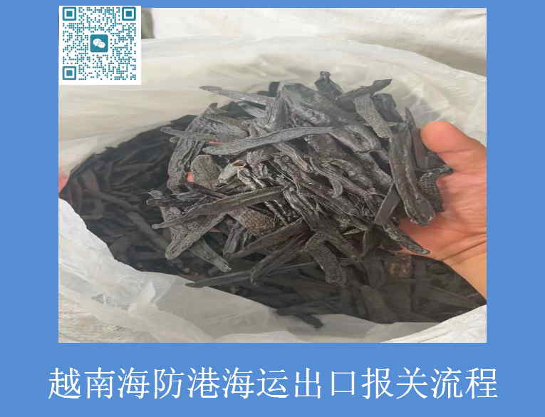 越南海防港海運出口報關(guān)流程.jpg