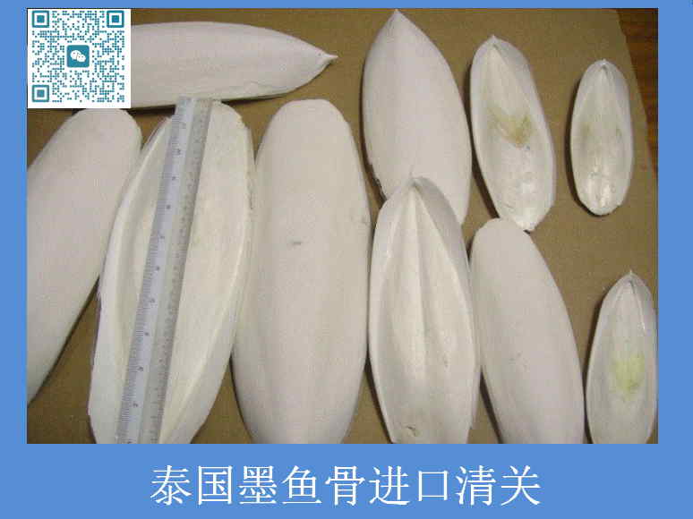 泰國墨魚(yú)骨進(jìn)口清關(guān).jpg